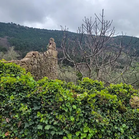 Apartamento Maitea -apart Ama- Sierra De Gata