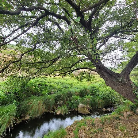Apartament Maitea -apart Ama- Sierra De