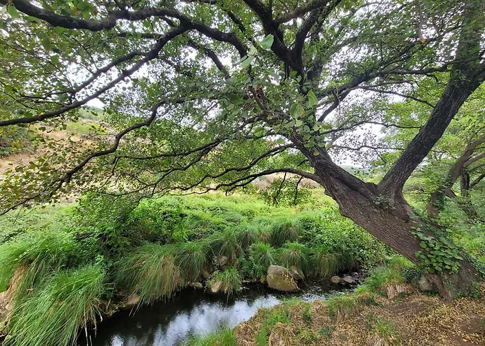 Apartament Maitea -apart Ama- Sierra De